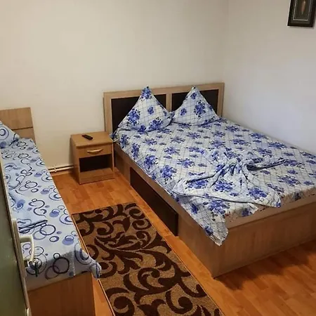Accommodatie bij particulieren Casa Ale Mangalia